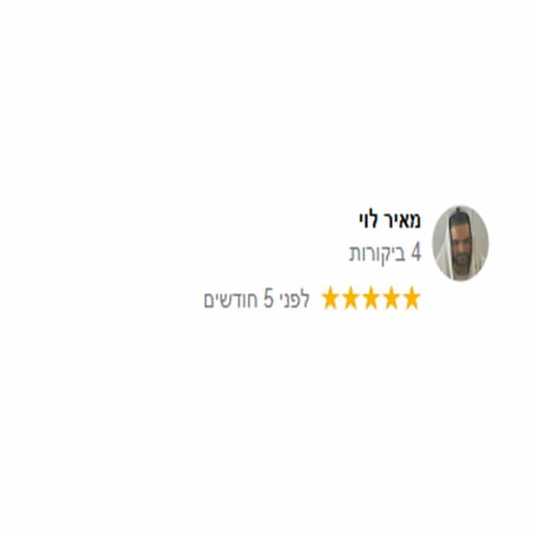 מאיר לוי